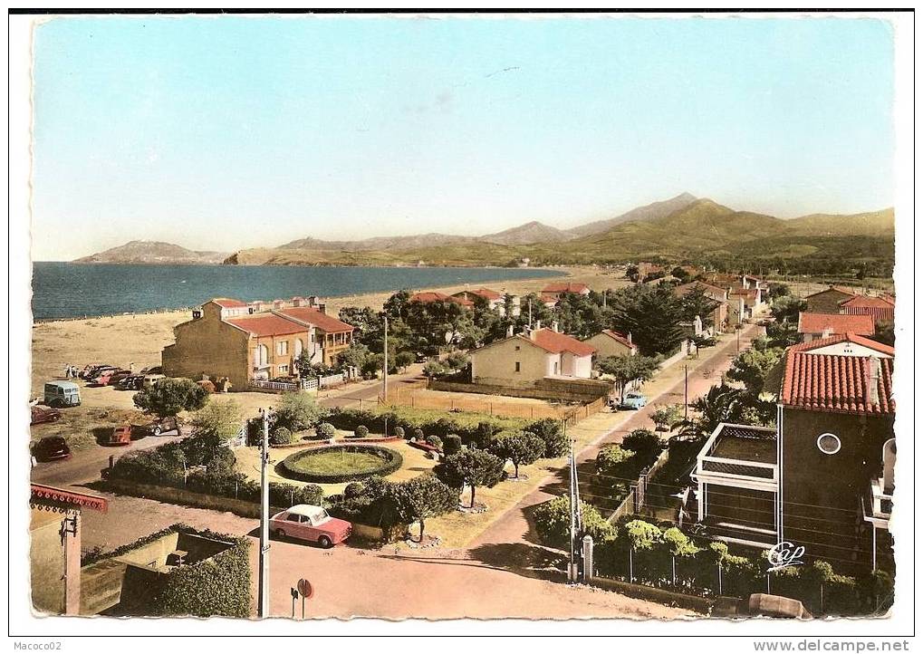 ARGELES SUR MER Dpt66 Vue Générale De La Plage Vers Le Racou CPSM N°1587 - Argeles Sur Mer