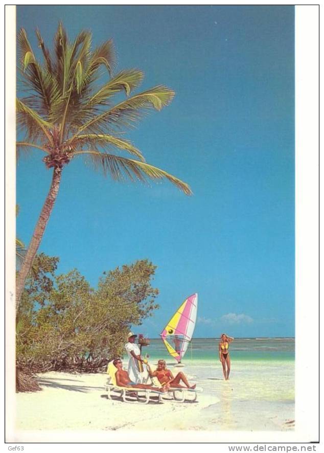 Punta Cana Beach Resort - Dominican Republic - Dominicaine (République)