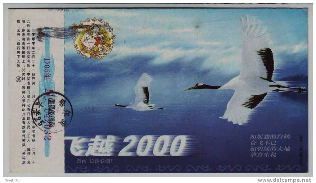 Red Crowned Crane Bird,China 2000 Hunan Cigarette Factory Advertising Pre-stamped Card - Kranichvögel