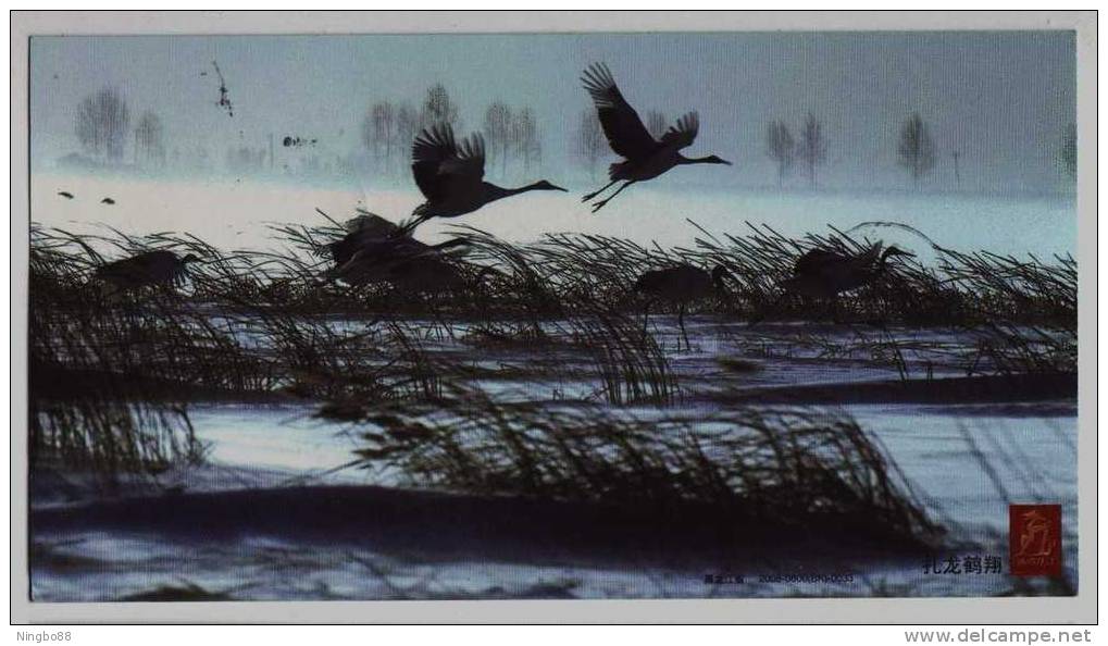 Red Crowned Crane Bird In Zhalong Nature Reserve Wetland,China 2008 Heilongjiang New Year Greeting Pre-stamped Card - Grues Et Gruiformes