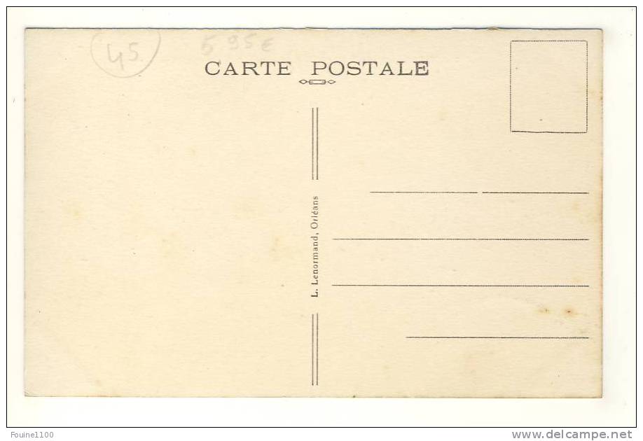 Carte De Chatillon Sur Loire Les Bords De La Loire Et La Plage - Chatillon Sur Loire