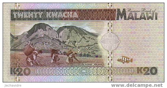 MALAWI   20 Kwacha   Daté Du 01-06-1995   Pick 32      ***** BILLET  NEUF ***** - Malawi