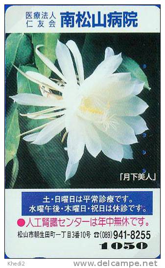 TC Japon Fleur CACTUS - KAKTUS Blume TK - Japan Flower Phonecard 72 - Blumen