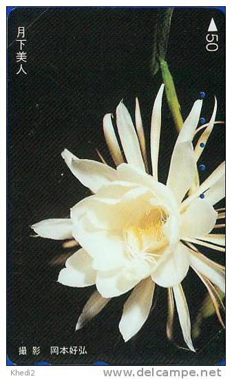 TC Japon Fleur CACTUS - KAKTUS Blume TK - Japan Flower Phonecard 75 - Blumen