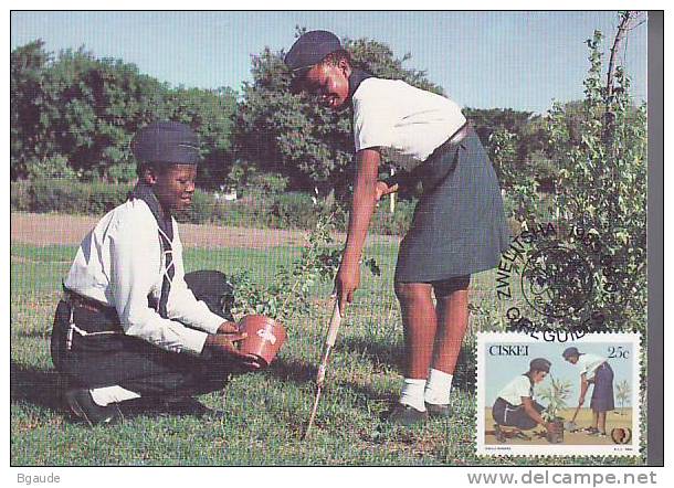 CISKEI  CARTE MAXIMUM NUM.YVERT 76  SCOUTS ET GUIDES SCOUTISME - Ciskei