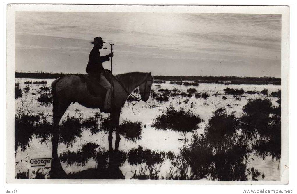 CPA    EN CAMARGUE      DANS LE MARAIS AU SOLEIL COUCHANT UN GARDIAN - Languedoc-Roussillon