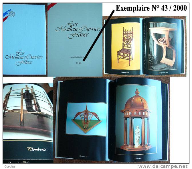 Artisanat Les Meilleurs Ouvriers De France 1993 1e édition Neuf Exemplaire Numéroté 43 Meilleur Ouvrier - Art