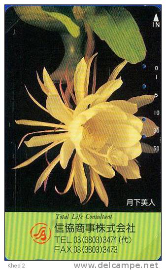 TC Japon Fleur CACTUS - KAKTUS Blume TK - Japan Flower Phonecard 77 - Blumen