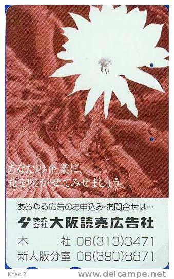 TC Japon Fleur CACTUS - KAKTUS Blume TK - Japan Flower Phonecard 80 - Blumen