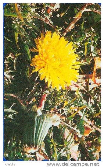 TC Japon Fleur CACTUS - KAKTUS Blume TK - Japan Flower Phonecard 84 - Blumen