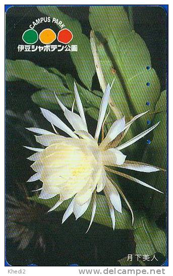 TC Japon Fleur CACTUS / 110-174981 - KAKTUS Blume TK - Japan Flower Phonecard 89 - Blumen