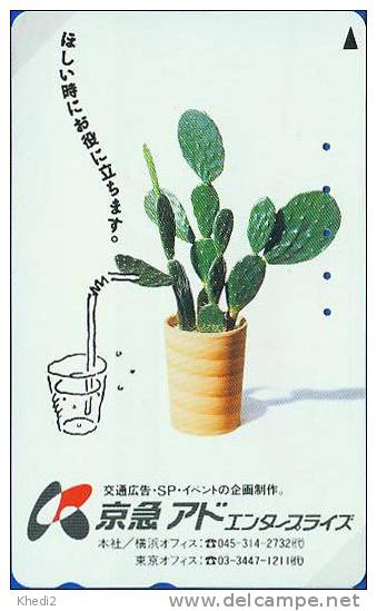 TC Japon Fleur CACTUS - KAKTUS Blume TK - Japan Flower Phonecard 93 - Fleurs