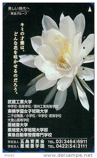 TC Japon Fleur CACTUS - KAKTUS Blume TK - Japan Flower Phonecard 94 - Blumen