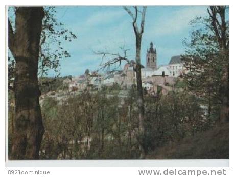 Thuin - Vue Sur Les Remparts Du Midi - Thuin