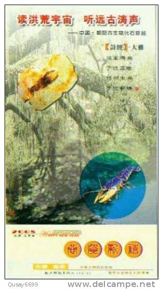 Shrimp Fossil,  Pre-stamped Postcard , Postal Stationery - Fossils