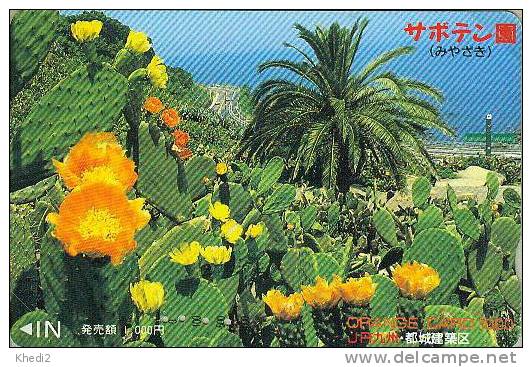 Japan Karte - KAKTUS Blume Pflanze - Flower Plant Card - CACTUS Fleur Plante - 104 - Blumen