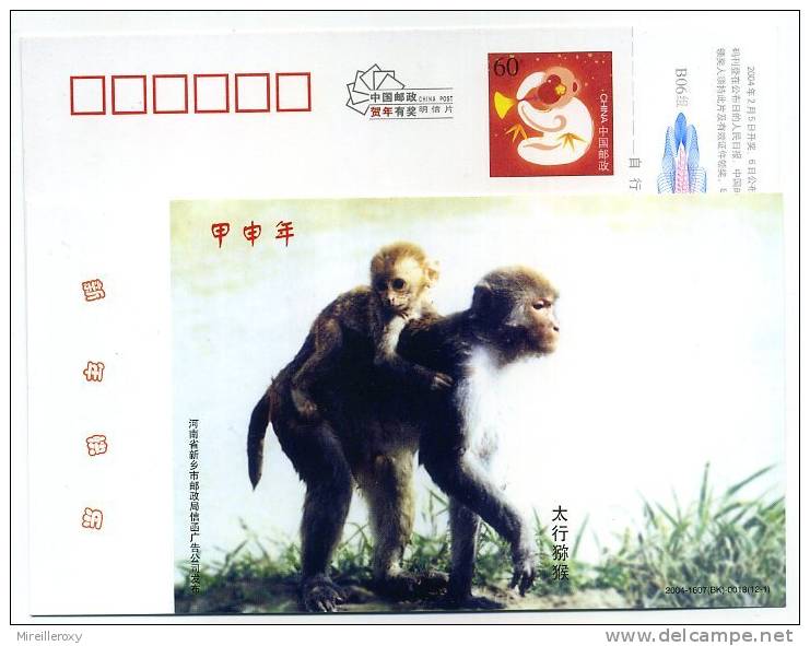 ENTIER POSTAL CHINE  STATIONERY SINGE MONKEY - Singes