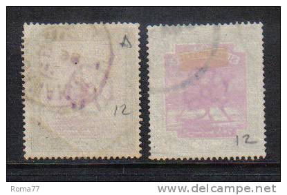 CI734 - SUDAN  1898 , 2 Valori Del N. 12 : Uno Con Leggero Decalco - Soudan (1954-...)