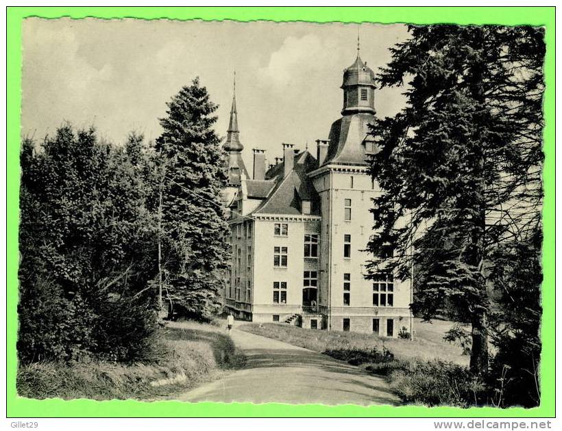 DALHEM, BELGIQUE - LA MAISON DE LA CHARITÉ - ANIMÉE - ANCIEN CHÂTEAU FRANCOTTE - ÉDITION A. DECLERCQ - - Dalhem