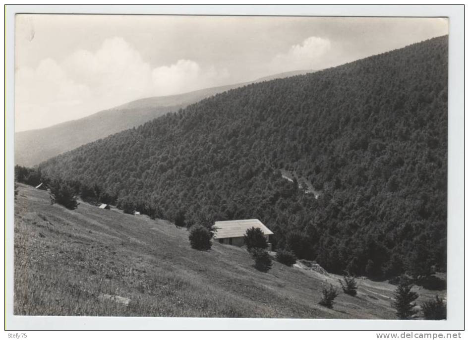 Chieti-Bosco Sella Di Fondi(m1350) Con La Mayelletta(m1930) - Chieti