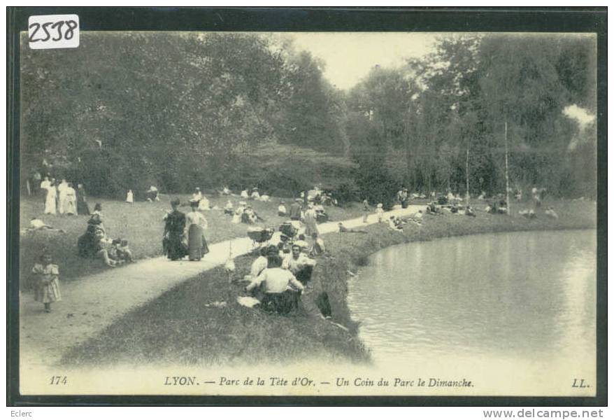 LYON - PARC DE LA TETE D'OR  - TB - Sonstige & Ohne Zuordnung