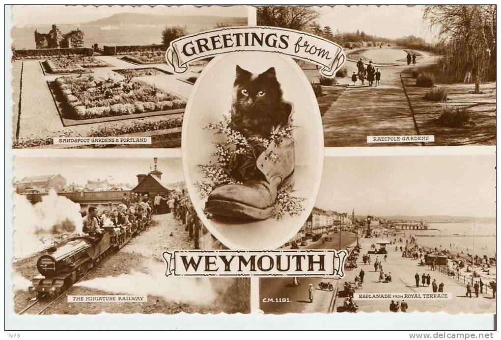 CpE1312 - Greetings From WEYMOUTH - (Royaume Uni) - Weymouth
