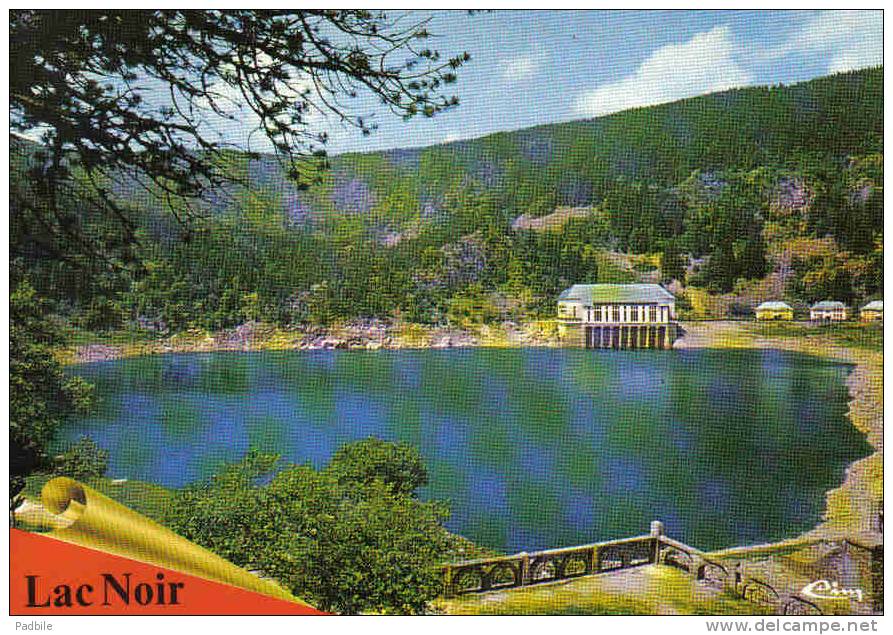 Carte Postale 68.  Orbey  Le Lac Noir Trés Beau Plan - Orbey