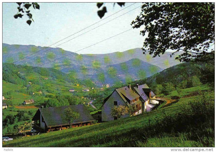 Carte Postale 68.  Orbey  Trés Beau Plan - Orbey