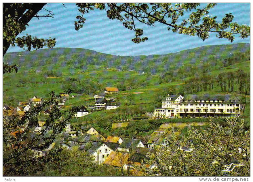 Carte Postale 68.  Orbey  Trés Beau Plan - Orbey