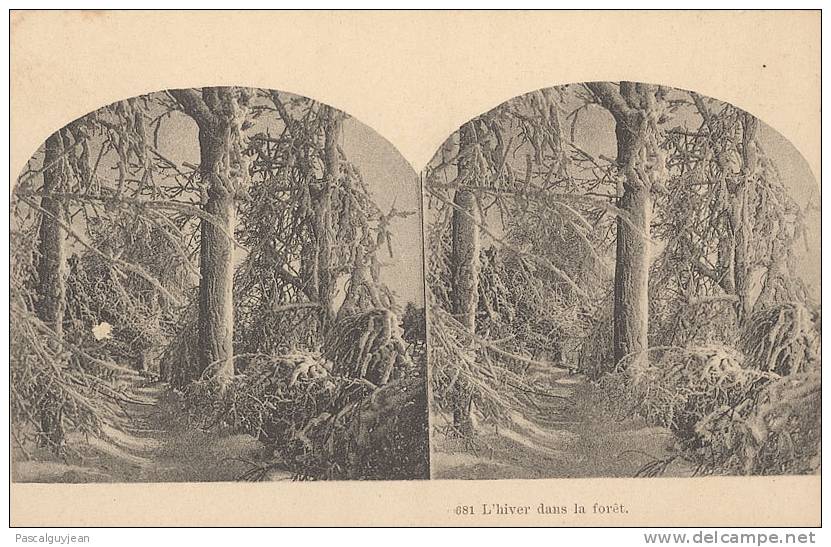 CPA STEREO - L'HIVER DANS LA FORET - Cartoline Stereoscopiche