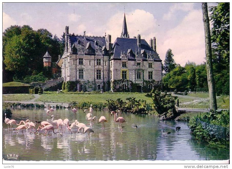 PARC ZOOLOGIQUE De CLERES -  Le ChÃ¢teau Et Les Flamants Roses - NÂ°  76 179 53 - Clères