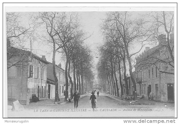 82 ) CAUSSADE, Avenue De Montauban, ANIMEE, Apa Poux Ã©dit - Caussade