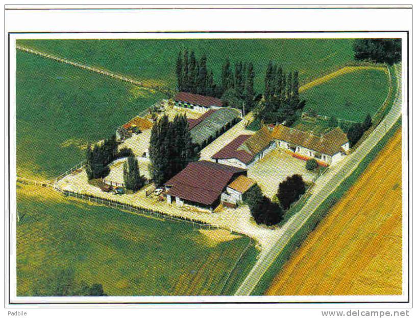 Carte Postale 61. Sees  Haras De Sou  Gilles Deroubaix Propr.  Bursard  Vue D'avion Trés Beau Plan - Sees