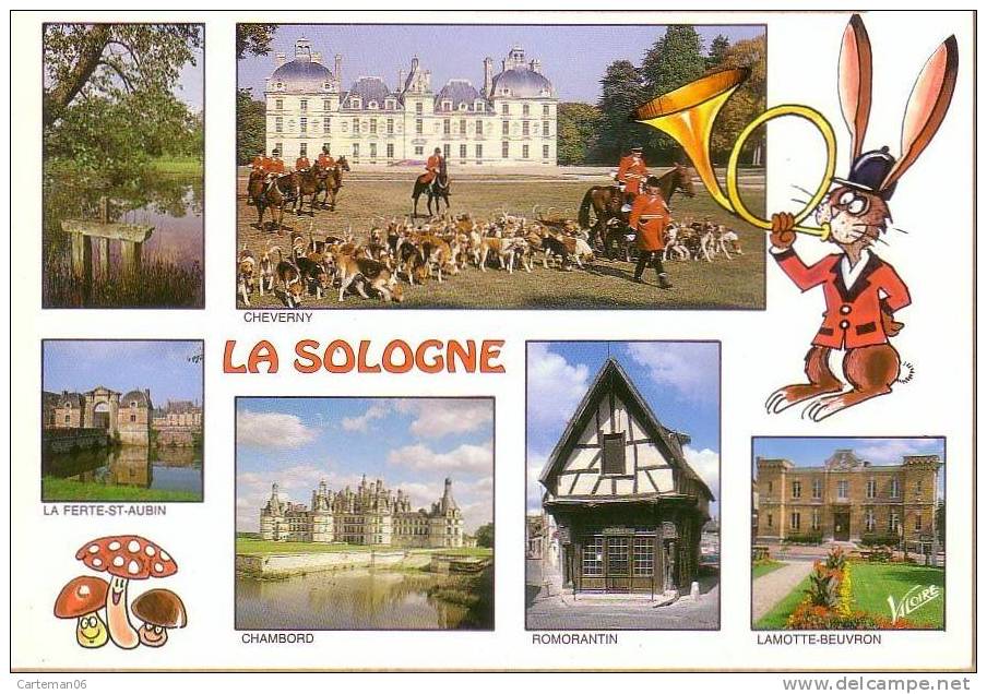 Région - La Sologne (6 Vues Dont Chasse à Courre à Cheverny - Centre-Val De Loire