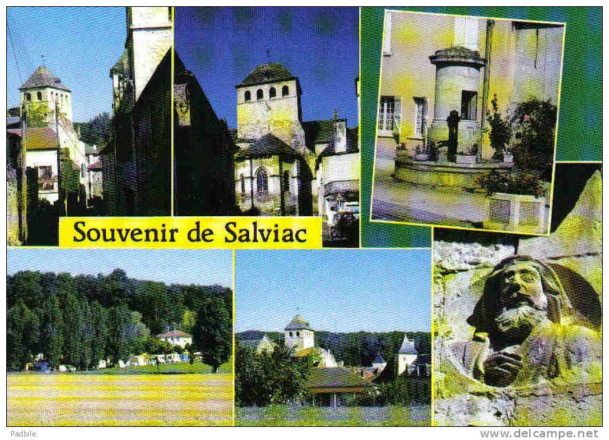 Carte Postale 46. Salviac Trés Beau Plan - Salviac