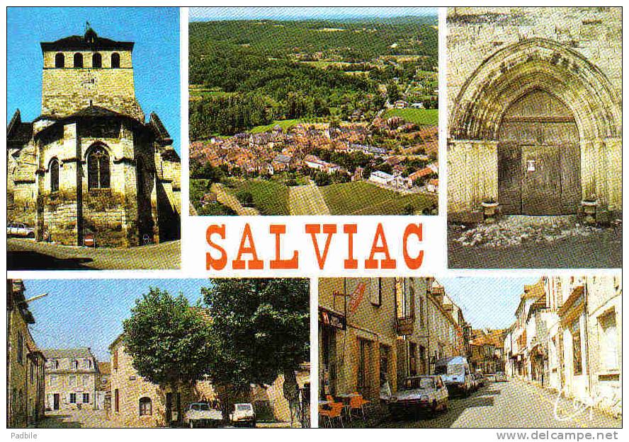 Carte Postale 46. Salviac Trés Beau Plan - Salviac