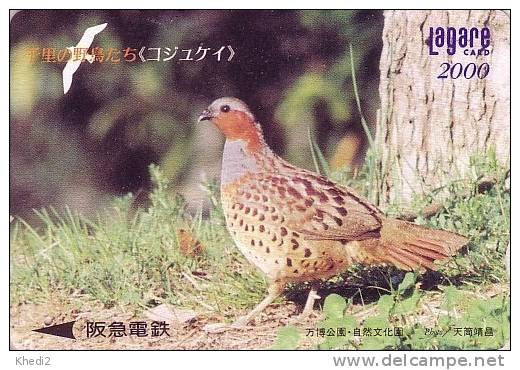 Carte Prépayée Japon - Série OISEAU LAGARE -  LAGOPEDE  - GROUSE BIRD ANIMAL Japan Prepaid Card - Schnee Huhn Vogel - 30 - Gallináceos & Faisanes