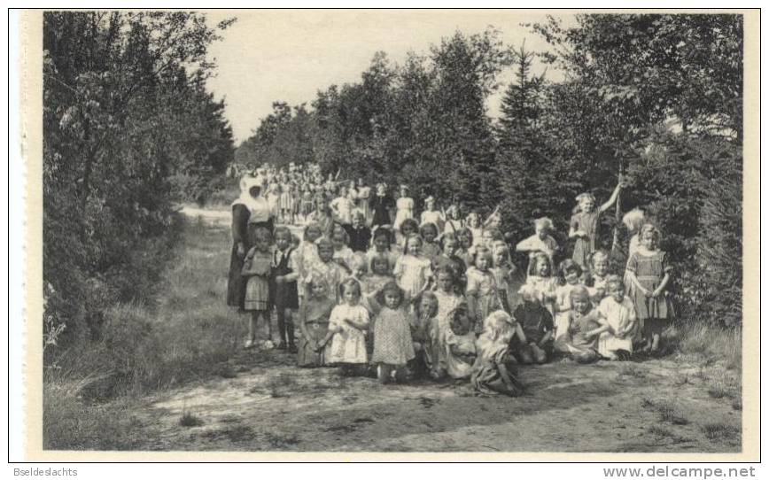 Ravels O.L. Vrouw Van De Kempen Open Lucht School Voor Zwakke Meisjes Een Dreef In Het Zes Hectaren Park - Ravels