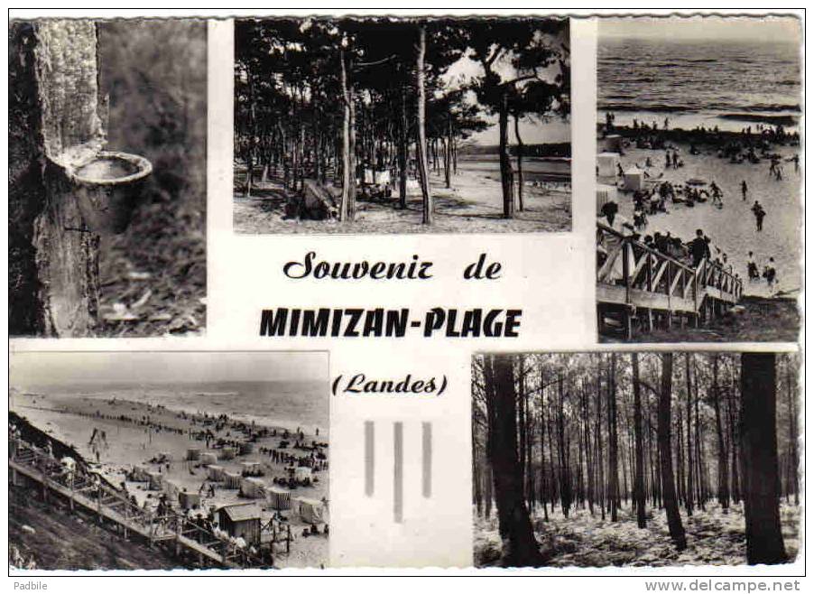 Carte Postale 40.  Mimizan Trés Beau Plan - Mimizan Plage