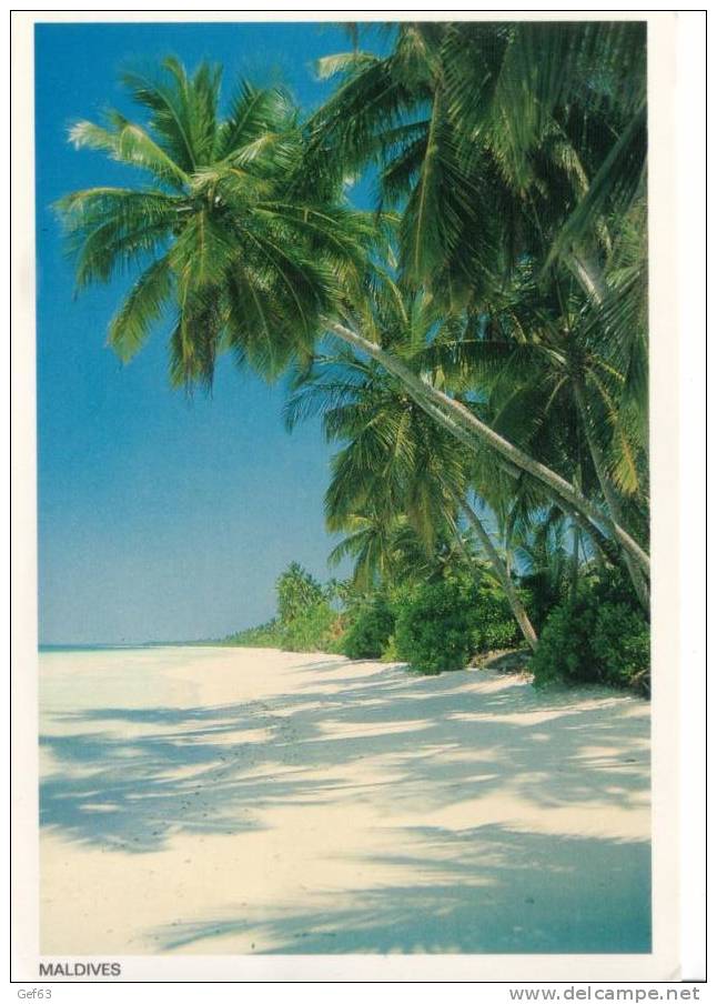Maldives... Heaven On Earth (1999) - Maldiven