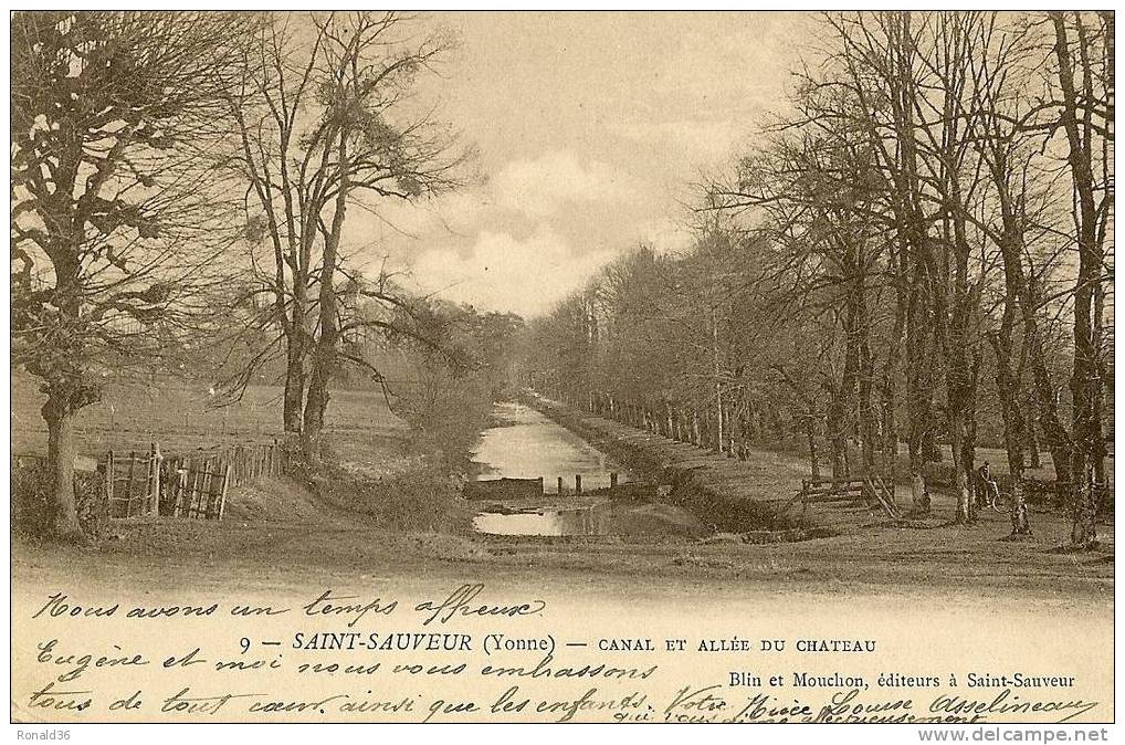 CP 89 .SAINT SAUVEUR . CANAL ET ALLEE DU CHATEAU - Saint Sauveur En Puisaye