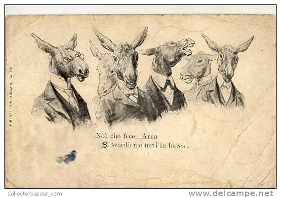 HUMOR POSTCARD Ca 1900 Donkey - Humor