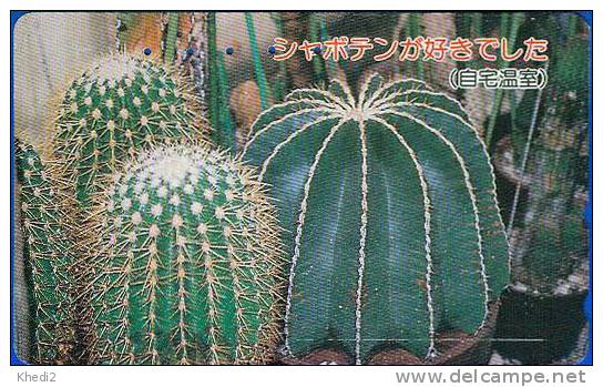 RARE Télécarte Japon - Fleur CACTUS - Japan Flower Plant Phonecard - KAKTUS - 134 - Blumen