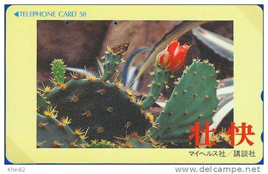 TC Fleur CACTUS - KAKTUS Blume Pflanze - Flower Plant Phonecard - 135 - Blumen