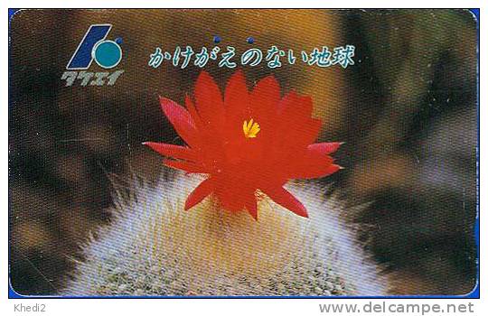 RARE Télécarte Japon - Fleur CACTUS - KAKTUS Blume Pflanze - Flower Plant Japan Phonecard - 136 - Blumen