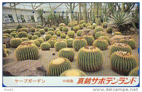 Télécarte Japon - Fleur CACTUS - KAKTUS Blume Pflanze - Flower Plant Japan Phonecard - 139 - Blumen