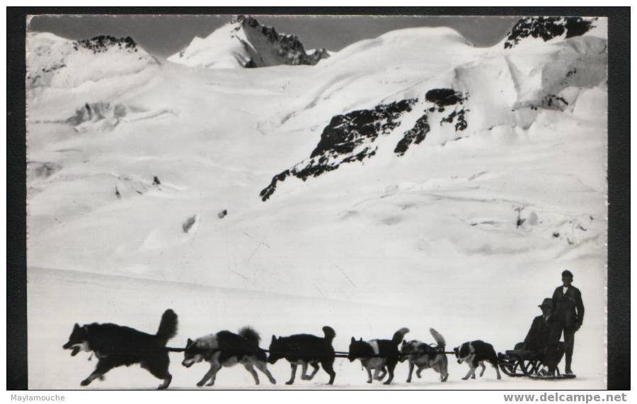 Grindelwald Jungfraujoch Attelage Traineau 1963 - Grindelwald