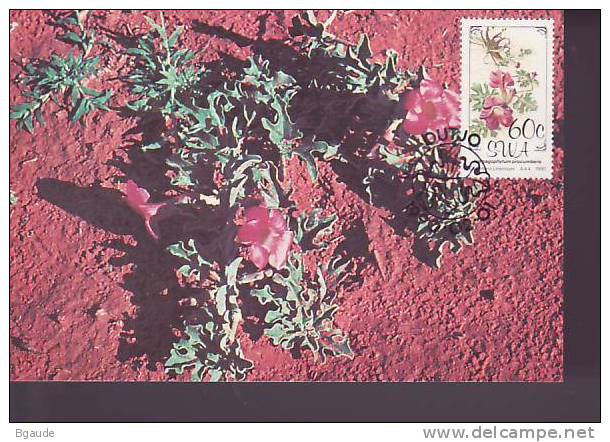 NAMIBIE CARTE MAXIMUM NUM.YVERT 624 FLORE FLEUR - Namibia (1990- ...)