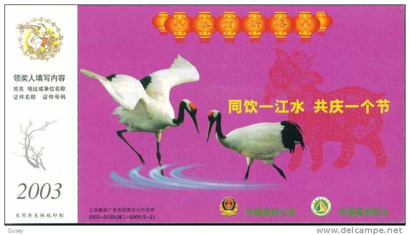 Gures Crane  Birds   ,  Pre-stamped Card , Postal Stationery - Kranichvögel