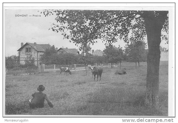 95 ) DOMONT, Prairie, ANIMEE, Frémont édit, - Domont